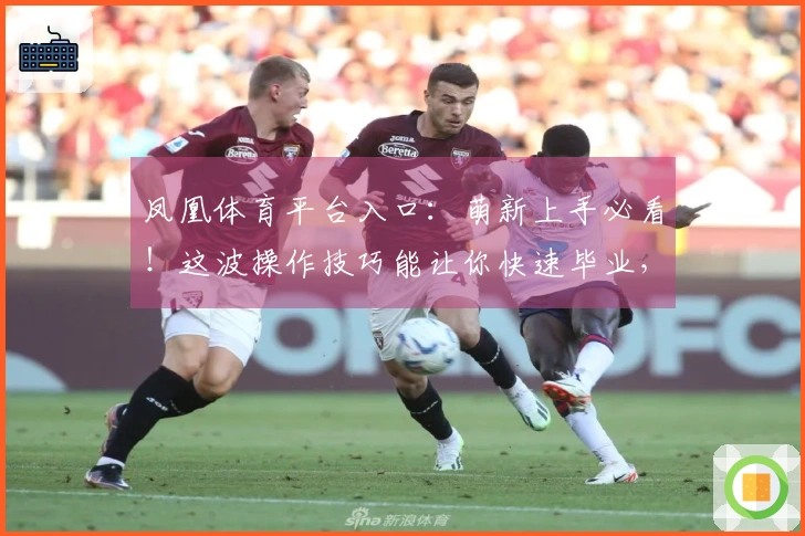 凤凰体育平台入口：萌新上手必看！这波操作技巧能让你快速毕业，告别菜鸟！