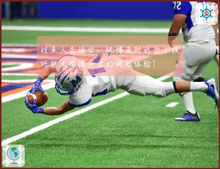 过来人告诉你，玩博鱼时这些小技巧能大幅提升你的游戏体验！