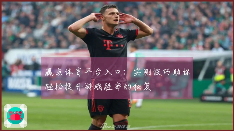 赢点体育平台入口：实测技巧助你轻松提升游戏胜率的秘笈