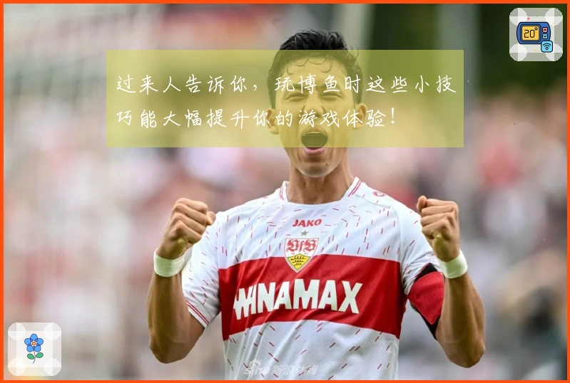 过来人告诉你，玩博鱼时这些小技巧能大幅提升你的游戏体验！