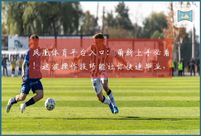 凤凰体育平台入口：萌新上手必看！这波操作技巧能让你快速毕业，告别菜鸟！